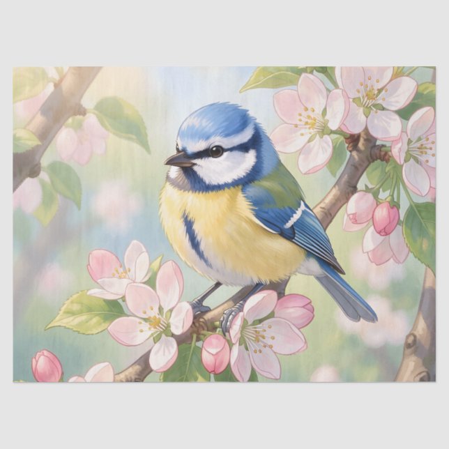 Papel De Seda Chapim-azul em Decoupage de Macieira na Primavera (Frente )