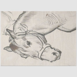 Papel De Seda Chefe de Cavalo (por Alfred Dehodencq)