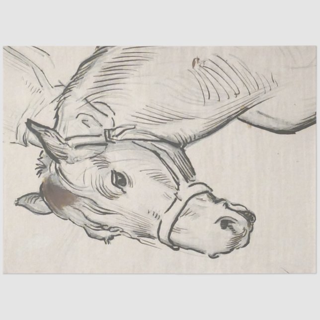 Papel De Seda Chefe de Cavalo (por Alfred Dehodencq) (Frente )