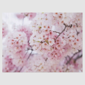 Papel De Seda Cherry Blossoms