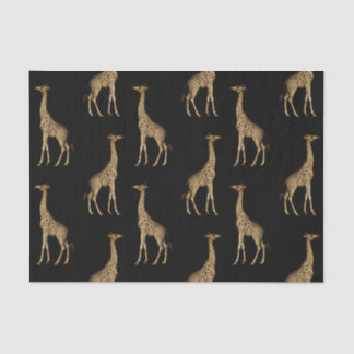 Papel De Seda Chic Black and Ouro Giraffe Impressão
