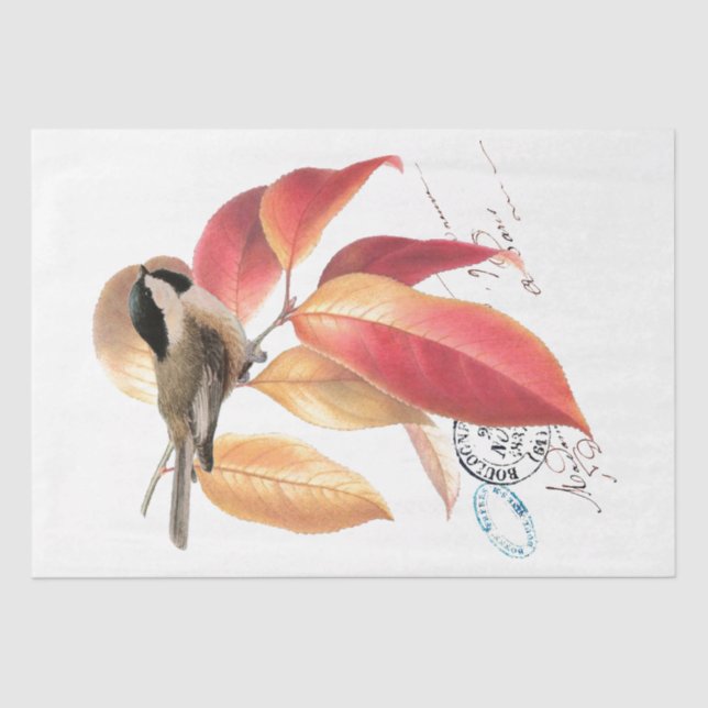 Papel De Seda Chickadee Bird - Script francês Autumn Leaf Decoup (Frente )