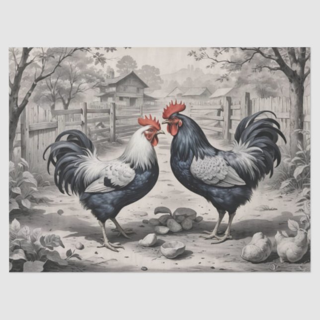 Papel De Seda Chicken Barnyard Design (Frente )