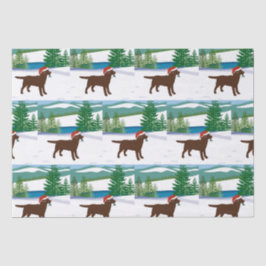 Papel De Seda Chocolate Labrador — Vista de inverno