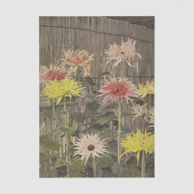 Papel De Seda Chrysanthemums by Ogawa Kazumasa (Frente )