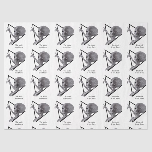 Papel De Seda Cinza, a verdade está lá fora (Frente )