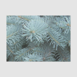 Papel De Seda Cinza azul de abeto inverno