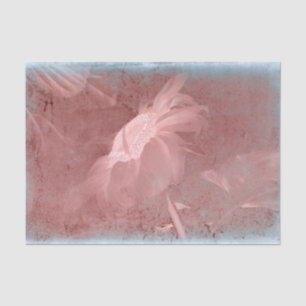 Papel De Seda Cinza Rosa De Girassol Vintage Vintage Textura Ant