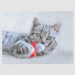 Papel De Seda Cinzas bonitas por gato com Natal
