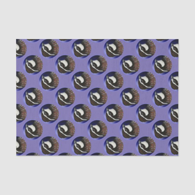 Papel De Seda Círculo de Cabeça de Codorna Bobwhite (Frente )