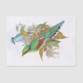 Papel De Seda Cissa Venatoria Decoupage