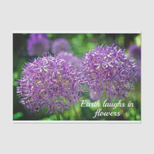 Papel De Seda Citação do Jardim das Flores de Allium Roxo