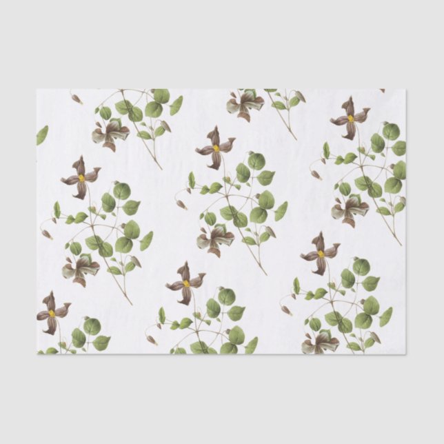 Papel De Seda Clematis Flower Pattern (Frente )
