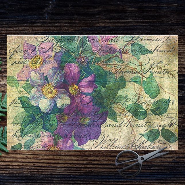 Papel De Seda Clematis Vine Manuscrito Vivid Decoupage Ephemera (Criador carregado)