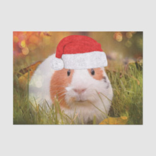 Papel De Seda cobaia bonito do Natal