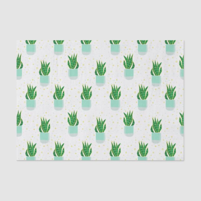 Papel De Seda Cobra de planta de Sansevieria Potted (Frente )