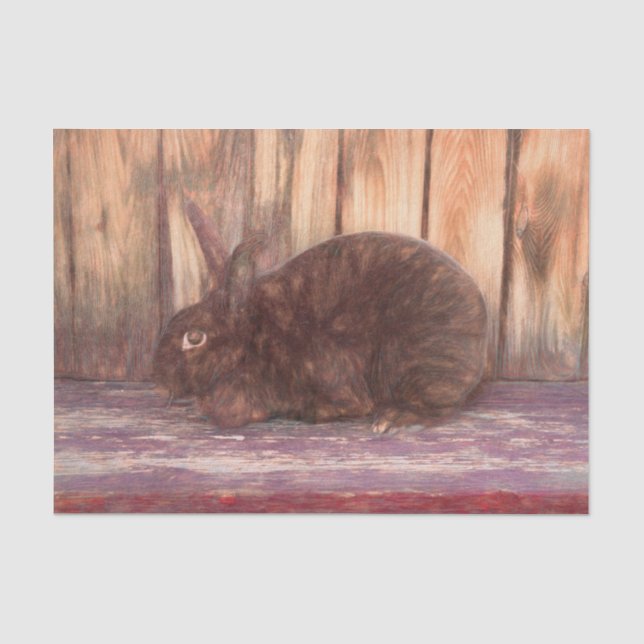Papel De Seda Coelho Bunny Marrom Arte Esboço Grão de Madeira Pá (Frente )