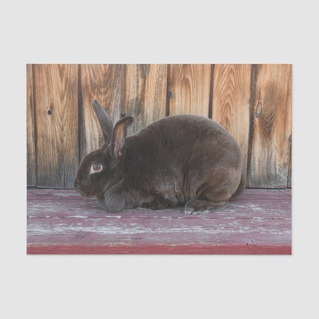 Papel De Seda Coelho Bunny Rústico Marrom Fazenda Rural (Frente )