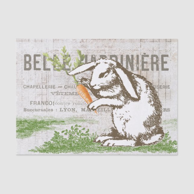 Papel De Seda Coelho Coelho Cenoura Páscoa Francês (Frente )