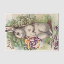 Papel De Seda Coelho de felz pascoa