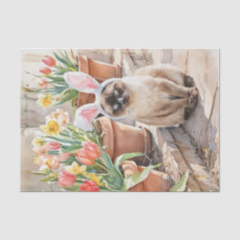 Papel De Seda Coelho Siames Cute Gato de Páscoa com Tulipas