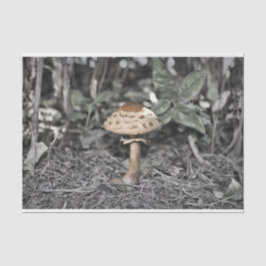Papel De Seda Cogumelo selvagem (Toadstool)