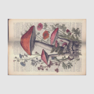 Papel De Seda Cogumelos e Flores na Ilustração do Texto do Livro
