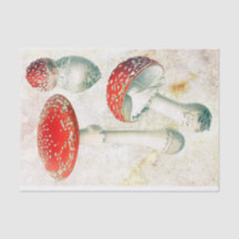 Cogumelos vermelhos morel desbotado fundo angustia