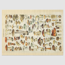 Papel De Seda Cogumelos Vintage Disoupage Tecido