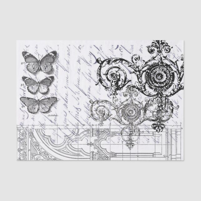 Papel De Seda Coisas efêmeras da borboleta (Frente )