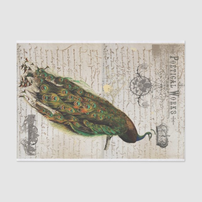 Papel De Seda Colagem bonita das coisas efêmeras do pavão (Frente )