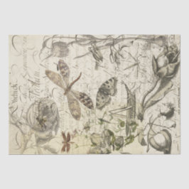 Papel De Seda Colagem da natureza