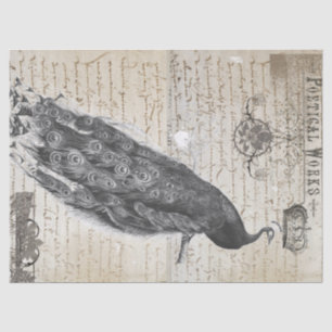 Papel De Seda Colagem das coisas efêmeras do pavão