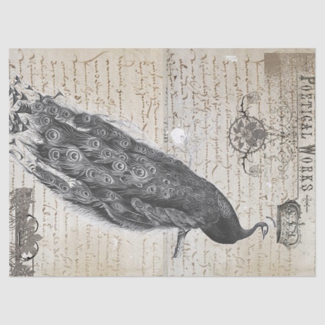 Papel De Seda Colagem das coisas efêmeras do pavão (Frente )