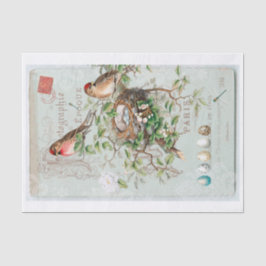 Papel De Seda Colagem de Aves Vintage Vitorianas Genuínas (não A