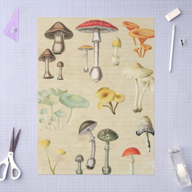 Papel De Seda Colagem de Cogumelos (Arte )