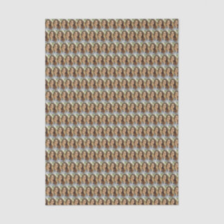 Papel De Seda Colagem de Fotos Personalizadas