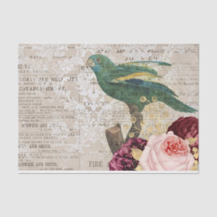 Papel De Seda Colagem de Papagaio Vintage