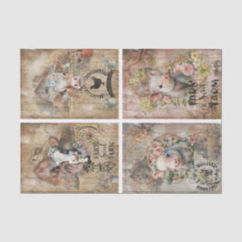 Papel De Seda Colagem de Primavera de Camarão de Fábrica Russa