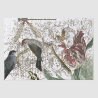 Papel De Seda Colagem do pássaro