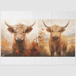 Papel De Seda Coleção 6 de Design de Vaca do Highland