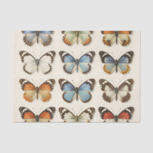 Papel De Seda Coleção de Espécimes de Borboleta Vintage