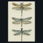 Papel De Seda Coleção Dragonfly por Chariklia Zarris<br><div class="desc">Uma coleção de libélulas digna de qualquer curioso buff da natureza,  esta é uma peça espantosa de Chariklia Zarris. Coloque na sua parede ou dê como presente!</div>