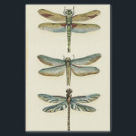 Papel De Seda Coleção Dragonfly por Chariklia Zarris<br><div class="desc">Uma coleção de libélulas digna de qualquer curioso buff da natureza,  esta é uma peça espantosa de Chariklia Zarris. Coloque na sua parede ou dê como presente!</div>
