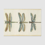 Papel De Seda Coleção Dragonfly por Chariklia Zarris<br><div class="desc">Uma coleção de libélulas digna de qualquer curioso buff da natureza,  esta é uma peça espantosa de Chariklia Zarris. Coloque na sua parede ou dê como presente!</div>