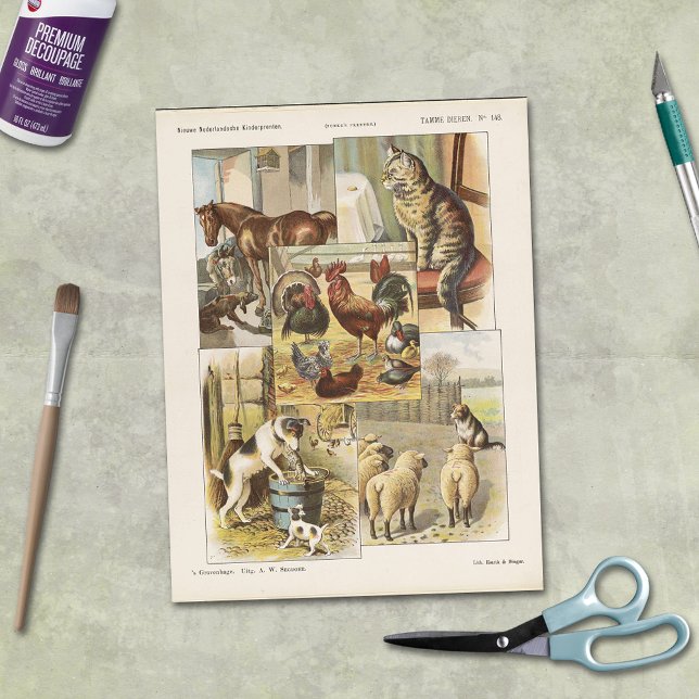 Papel De Seda Coleta de Animais de Fazenda Tame Decoupage Epheme (Criador carregado)