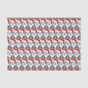 Papel De Seda Collie com o Natal do Papai Noel