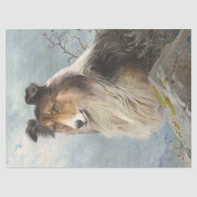 Papel De Seda Collie Dog Decoupage (Frente )