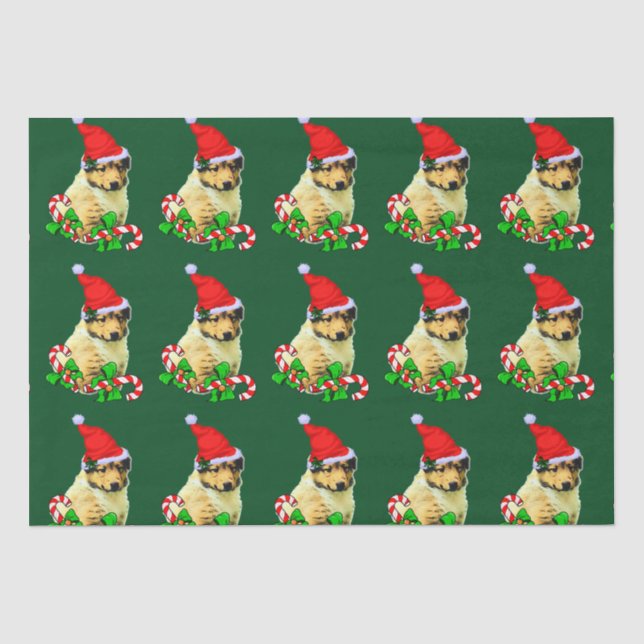 Papel De Seda Collie Puppy Santa Hat Natal (Frente )