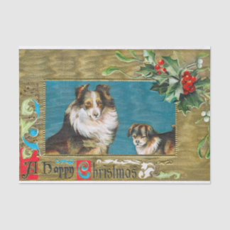 Papel De Seda Collies de Natal com Holly e Berries
